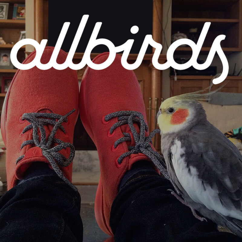 allbirds sustainability report
